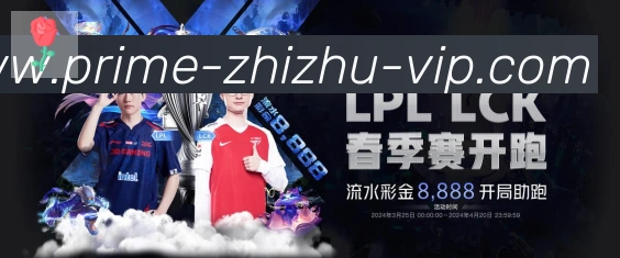 蜘蛛直播品牌故事